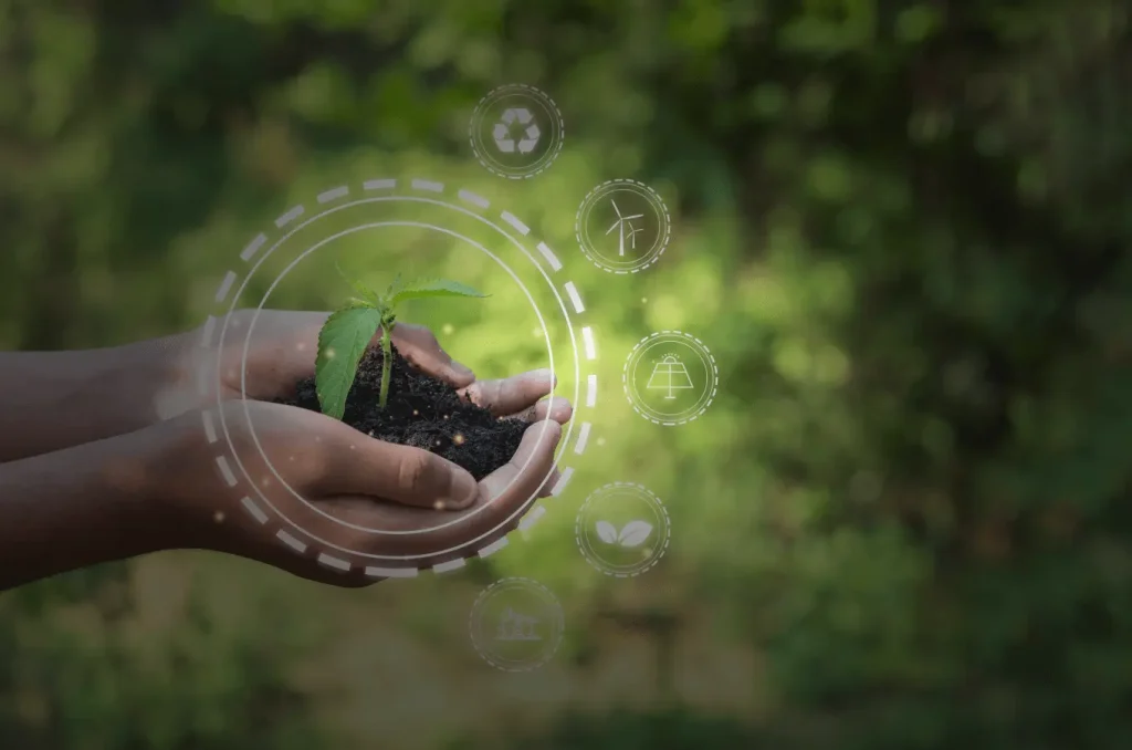 ekspolruj-swoj-slad-weglowy