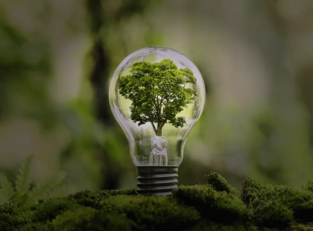 ekspolruj-swoj-slad-weglowy